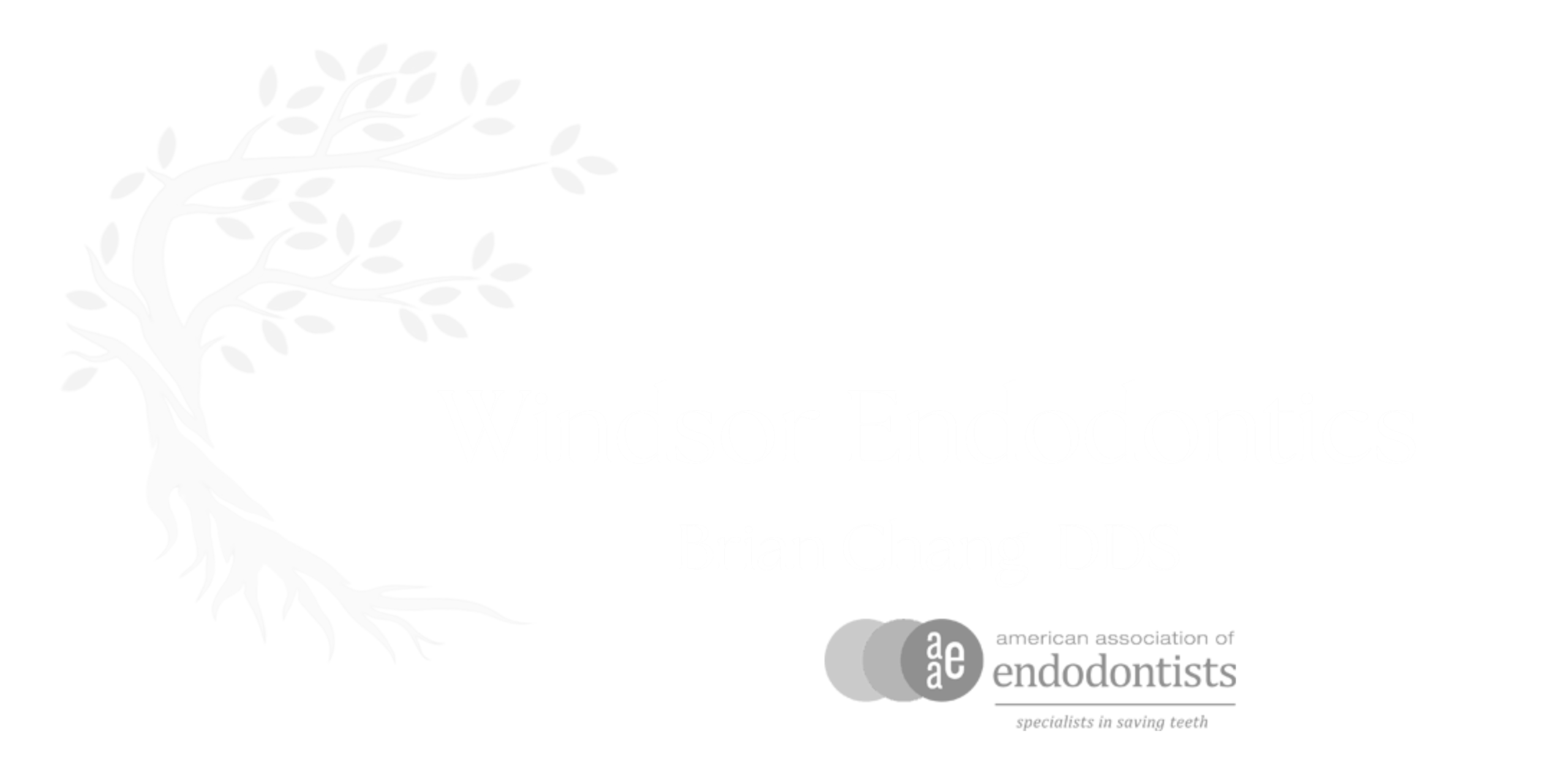 Windsor Endo Footer Logo