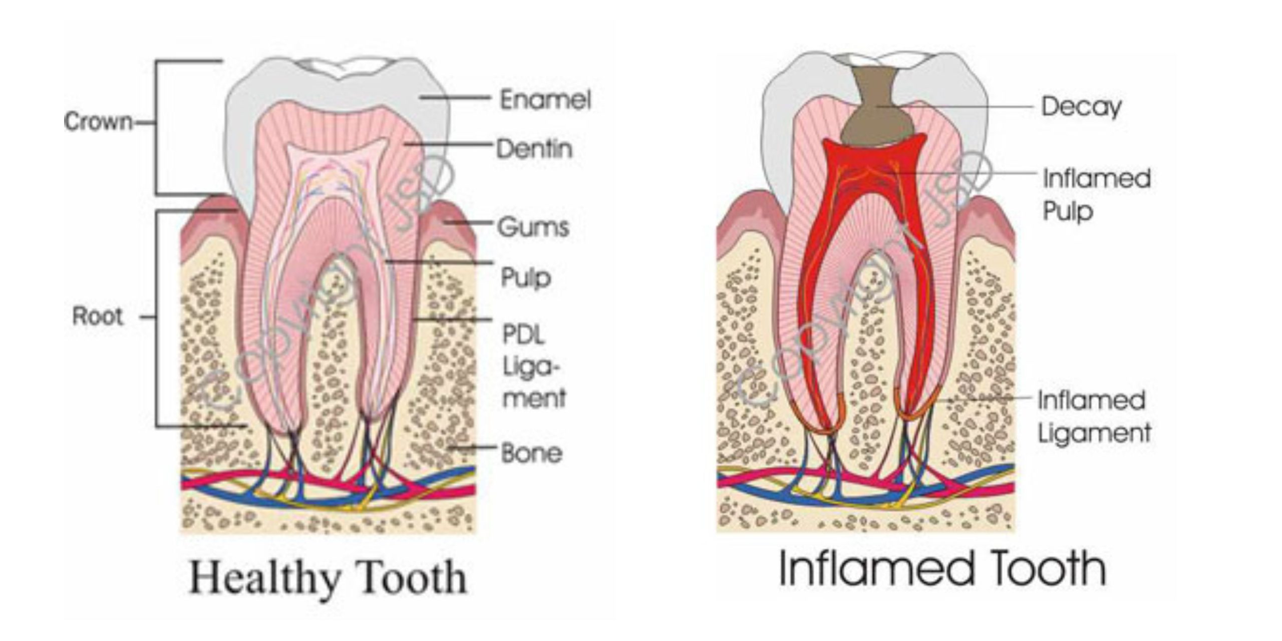 Website Banner(s) (1)